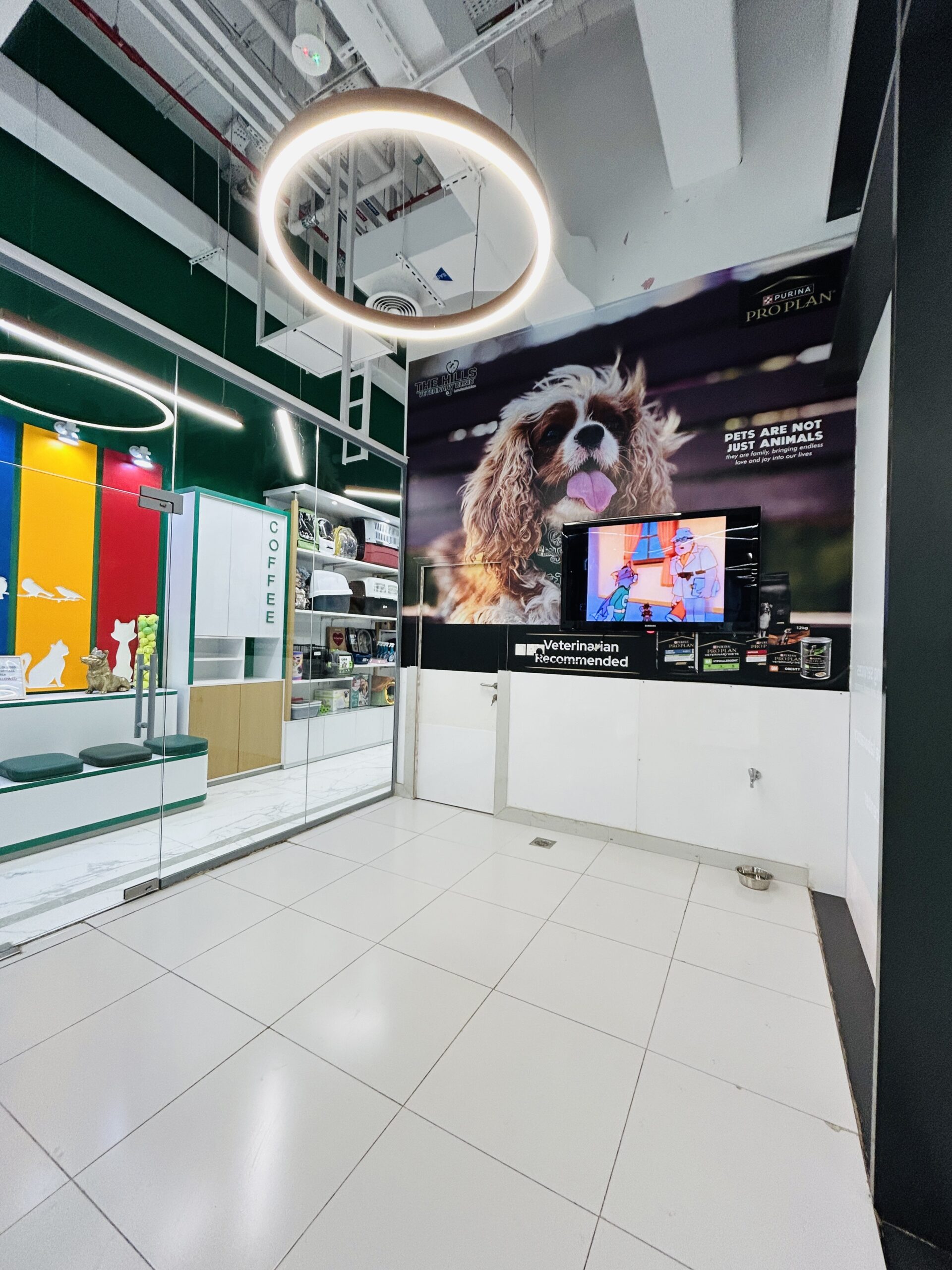 Day care at The Hills Veterinary Clinic